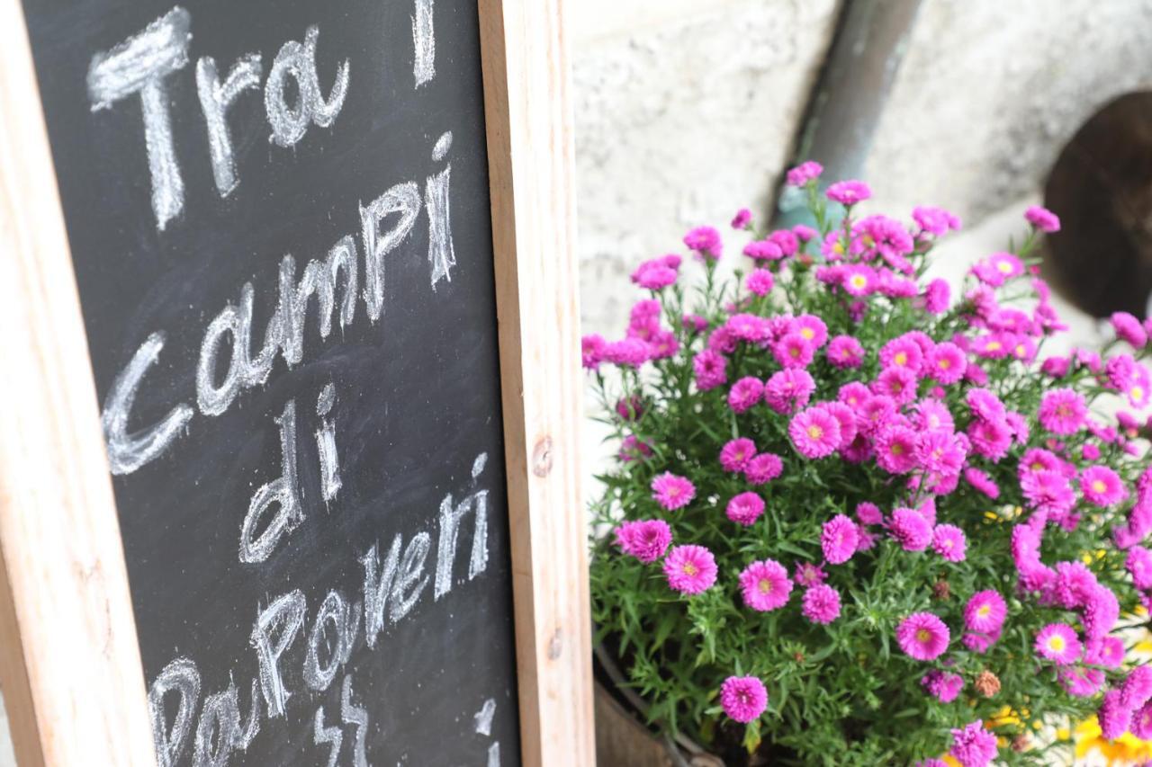Tra I Campi Di Papaveri Medesano Eksteriør billede